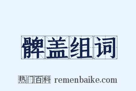 髀盖组词是什么意思的图片